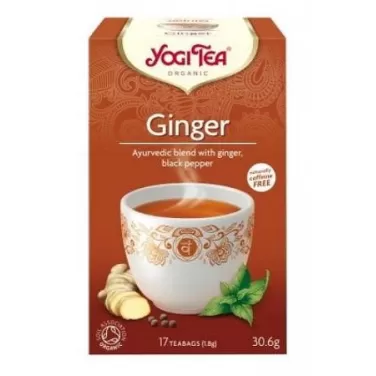 Bio tea gyömbéres 17x1,8g 31 g